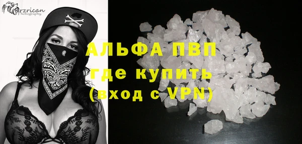стафф Алексин