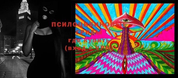 стафф Алексин