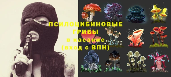 эйфоретик Алексеевка