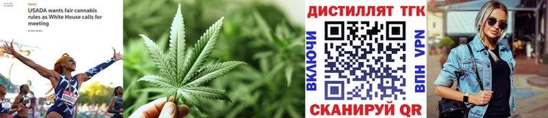 наркотики  Лесной  ТГК Wax 