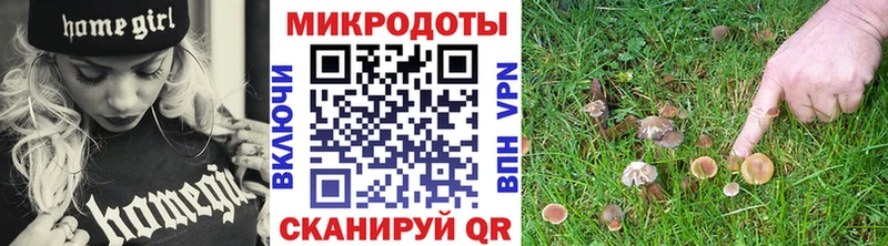Галлюциногенные грибы MAGIC MUSHROOMS  это Telegram  Лесной  купить  